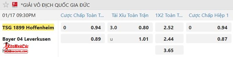 Tỷ lệ soi kèo Hoffenheim vs Leverkusen Tỷ lệ soi kèo Hoffenheim vs Leverkusen