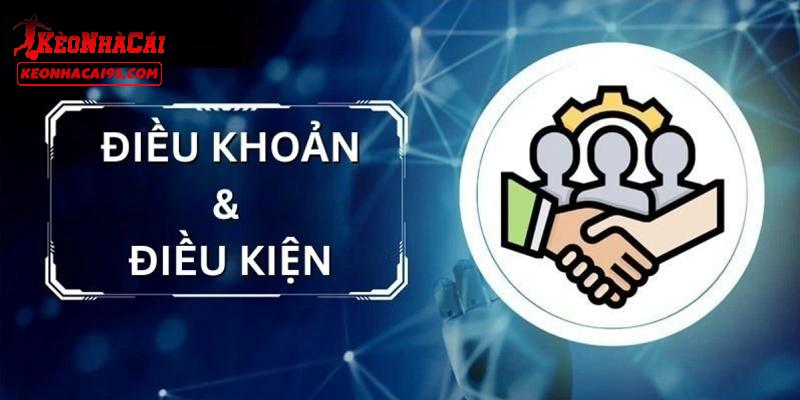 Những thông tin sơ bộ về điều khoản điều kiện Những thông tin sơ bộ về điều khoản điều kiện