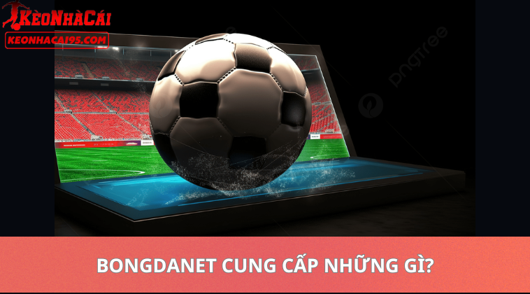 Bongdanet – Soi Kèo Bóng Đá, Nhận Định Và Tỷ Lệ Kèo Mới Nhất 1 Bongdanet Cung Cấp Những Gì?