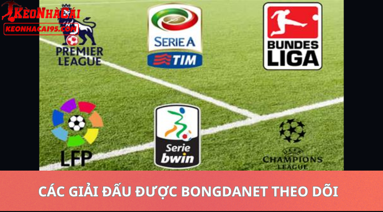 Bongdanet – Soi Kèo Bóng Đá, Nhận Định Và Tỷ Lệ Kèo Mới Nhất 2 Các Giải Đấu Được Bongdanet Theo Dõi Sát Nhất